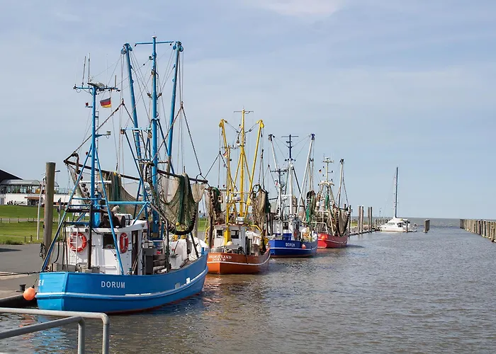 Ostertill 05 * דורום נויפלד